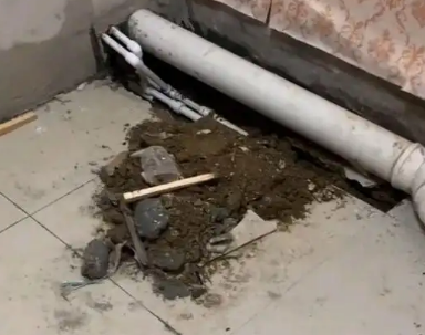 龙亭卫生间漏水检测哪家好