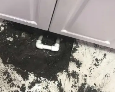 龙亭查漏水哪家好